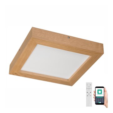 Brilagi - LED Dimbare badkamer plafondverlichting WOODY FRAME LED/24W/230V eiken 30x30 cm 3000-6000K IP44 + afstandsbediening