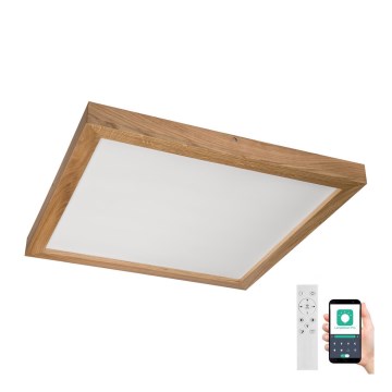 Brilagi - LED Dimbare badkamer plafondverlichting WOODY FRAME LED/50W/230V eiken 60x60 cm 3000-6000K IP44 + afstandsbediening