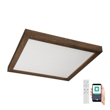 Brilagi - LED Dimbare badkamer plafondverlichting WOODY FRAME LED/50W/230V eiken 60x60 cm 3000-6000K IP44 + afstandsbediening