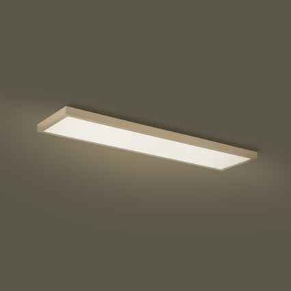 Brilagi - Dimbare LED-plafondlamp voor badkamer FRAME SMART LED/50W/230V 120x30 cm 3000-6000K IP44 beige + afstandsbediening