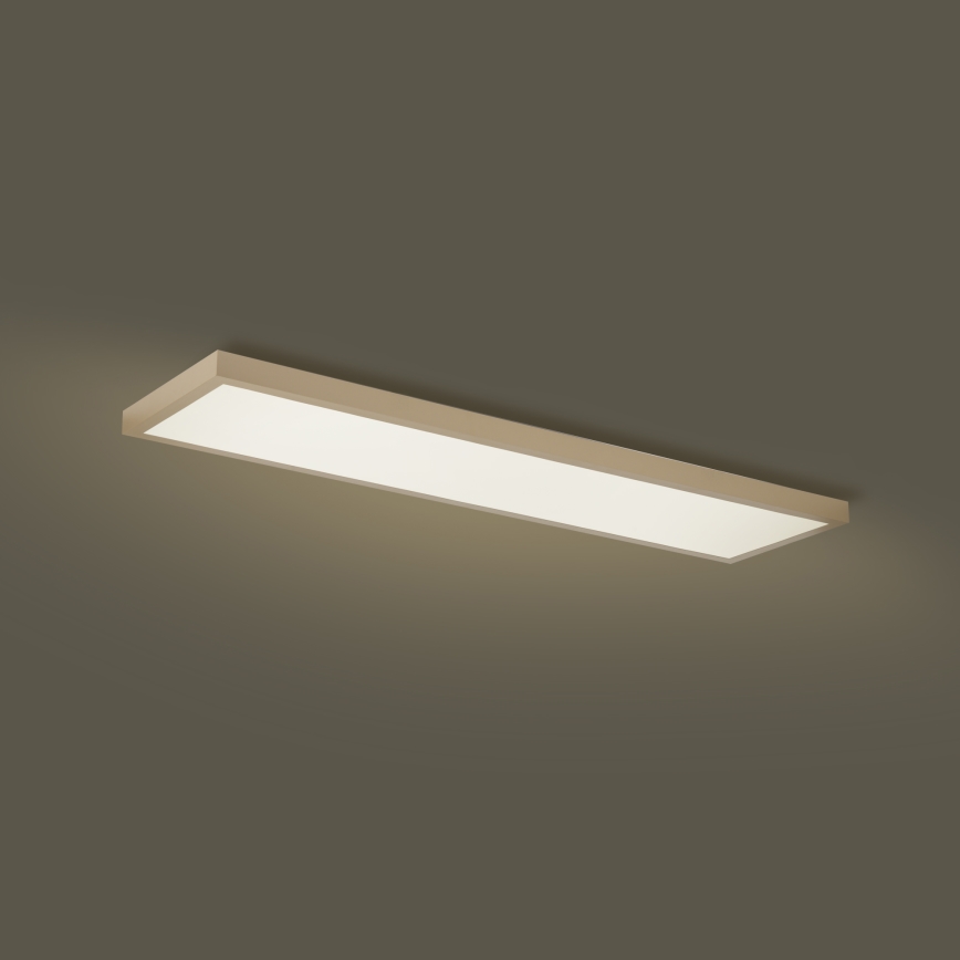 Brilagi - Dimbare LED-plafondlamp voor badkamer FRAME SMART LED/50W/230V 120x30 cm 3000-6000K IP44 beige + afstandsbediening