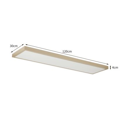 Brilagi - Dimbare LED-plafondlamp voor badkamer FRAME SMART LED/50W/230V 120x30 cm 3000-6000K IP44 beige + afstandsbediening