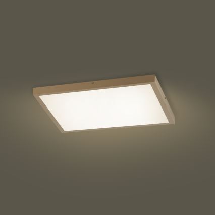Brilagi - LED-dimbare badkamerplafondlamp FRAME SMART LED/50W/230V 60x60 cm 3000-6000K IP44 beige + afstandsbediening