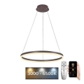 BRILAGI - LED dimbare hanglamp aan kabel CIRCLE LED/42W/230V 3000-6500K Ø 60 cm bruin + afstandsbediening