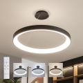 Brilagi - LED-dimbare hanglamp aan kabel FALCON II LED/108W/230V 3000-6500K Ø 80 cm zwart + afstandsbediening