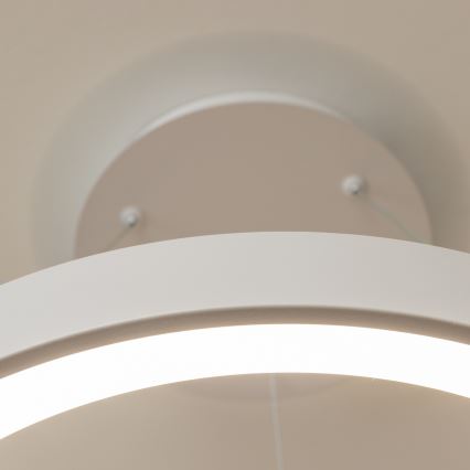 BRILAGI - LED dimbare hanglamp aan kabel FALCON II LED/99W/230V 3000-6500K Ø 60 cm wit + afstandsbediening