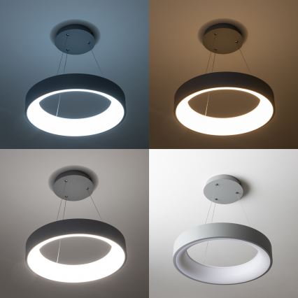 Brilagi - Dimbare LED-hanglamp aan kabel FALCON LED/80W/230V 3000-6500K Ø 60 cm grijs + afstandsbediening