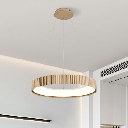 Brilagi - LED-dimbare hanglamp met kabelophanging FALCON MODERN LED/54W/230V 3000-6500K Ø 60 cm beige + afstandsbediening