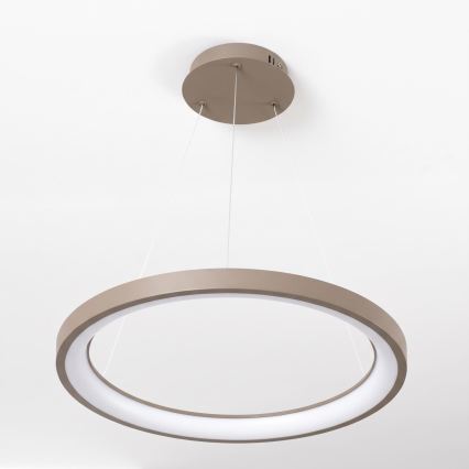 BRILAGI - LED dimbare hanglamp aan kabel FALCON SLIM LED/42W/230V 3000-6500K Ø 50 cm beige + afstandsbediening