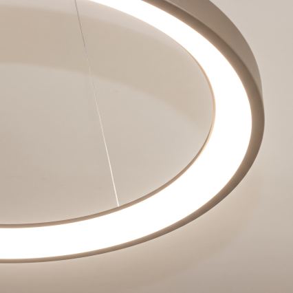 BRILAGI - LED dimbare hanglamp aan kabel FALCON SLIM LED/42W/230V 3000-6500K Ø 50 cm beige + afstandsbediening
