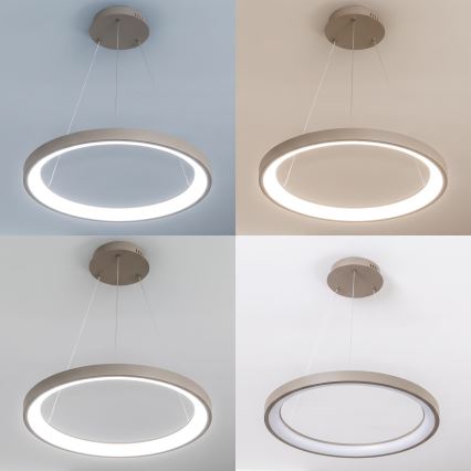 BRILAGI - LED dimbare hanglamp aan kabel FALCON SLIM LED/42W/230V 3000-6500K Ø 50 cm beige + afstandsbediening