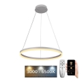 Brilagi - LED-dimbare hanglamp aan stalen kabel CIRCLE LED/42W/230V 3000-6500K Ø 60 cm + afstandsbediening