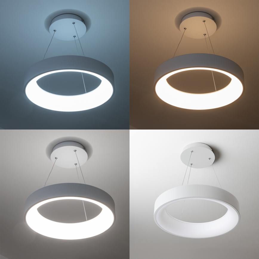 Brilagi - LED dimbare hanglamp aan kabel FALCON LED/80W/230V 3000-6500K Ø 60 cm wit + afstandsbediening