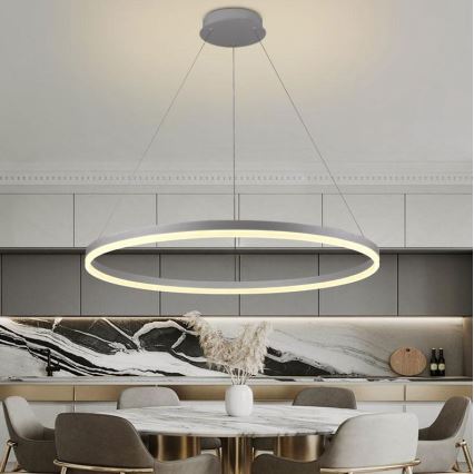 Brilagi - Dimbare LED-hanglamp aan kabel CIRCLE LED/55W/230V 3000-6500K Ø 80 cm zilver + afstandsbediening