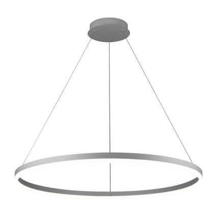 Brilagi - Dimbare LED-hanglamp aan kabel CIRCLE LED/55W/230V 3000-6500K Ø 80 cm zilver + afstandsbediening
