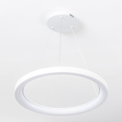 Brilagi - Dimbare LED-hanglamp aan kabel FALCON SLIM LED/42W/230V 3000-6500K Ø 50 cm wit + afstandsbediening