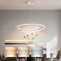 Brilagi - LED dimbare hanglamp met kabelophanging TWISTER LED/75W/230V 3000-6000K Ø 70 cm wit + afstandsbediening