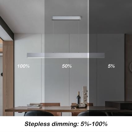 Brilagi - LED Dimbare hanglamp met kabel SLEEKLINE SMART LED/40W/230V 3000-6000K Wi-Fi Tuya zilver + afstandsbediening