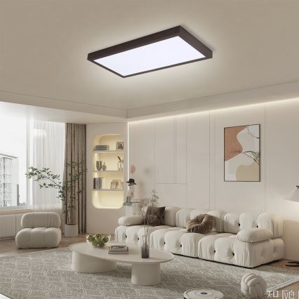 Brilagi - LED Dimbare badkamer plafondlamp FRAME SMART LED/30W/230V 30x60 cm 3000-6000K zwart + afstandsbediening
