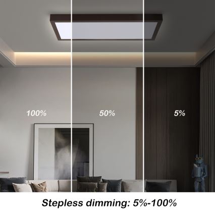Brilagi - LED Dimbare badkamer plafondlamp FRAME SMART LED/30W/230V 30x60 cm 3000-6000K zwart + afstandsbediening