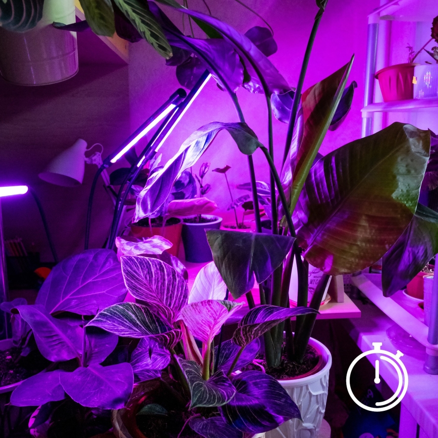 Brilagi - LED Dimbaar flexibel tafellamp met clip voor het kweken van planten VITABLOOM 3xLED/10W/230V zwart