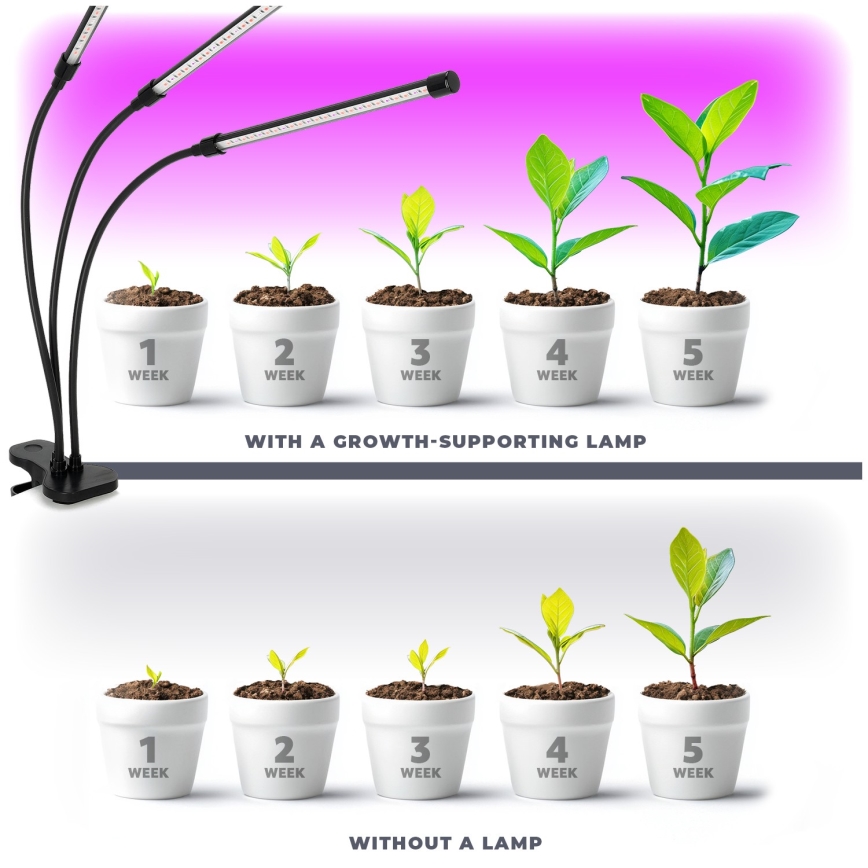 Brilagi - LED Dimbaar flexibel tafellamp met clip voor het kweken van planten VITABLOOM 3xLED/10W/230V zwart