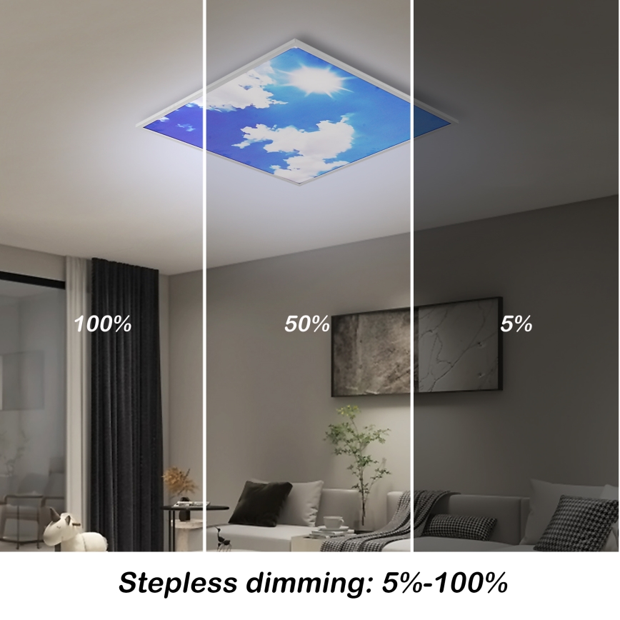 Brilagi - Dimbare LED-plafondlamp SLIMFRAME SKY LED/58W/230V 60x60 cm 3000-6000K zilver/blauw + afstandsbediening