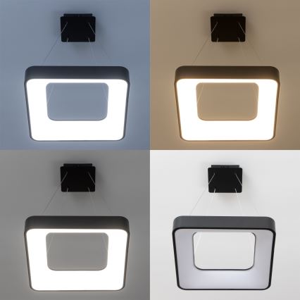 Brilagi - LED dimbare kabelhanglamp FALCON II LED/80W/230V 3000-6500K 40x40 cm zwart + afstandsbediening