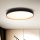 Brilagi - LED dimbare plafondlamp CALA LED/48W/230V 3000-6500K Ø 38 cm + afstandsbediening