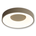 BRILAGI - LED Dimbare plafondlamp FALCON II LED/67W/230V 3000-6500K Ø 40 cm beige + afstandsbediening