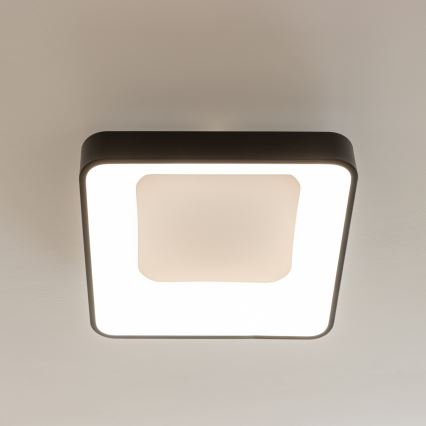 Brilagi - LED-dimbare plafonnière FALCON II LED/80W/230V 3000-6500K 40x40 cm zwart + afstandsbediening