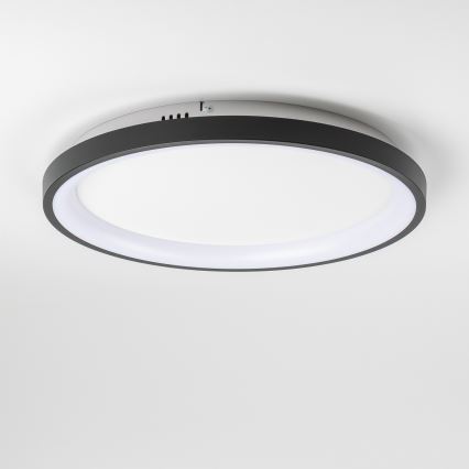 Brilagi - LED-dimbare plafondlamp FALCON SLIM LED/42W/230V 3000-6500K Ø 50 cm zwart + afstandsbediening