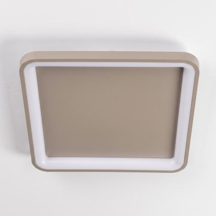 BRILAGI - LED Dimbare plafondlamp FALCON SLIM LED/50W/230V 3000-6500K 50x50 cm beige + afstandsbediening
