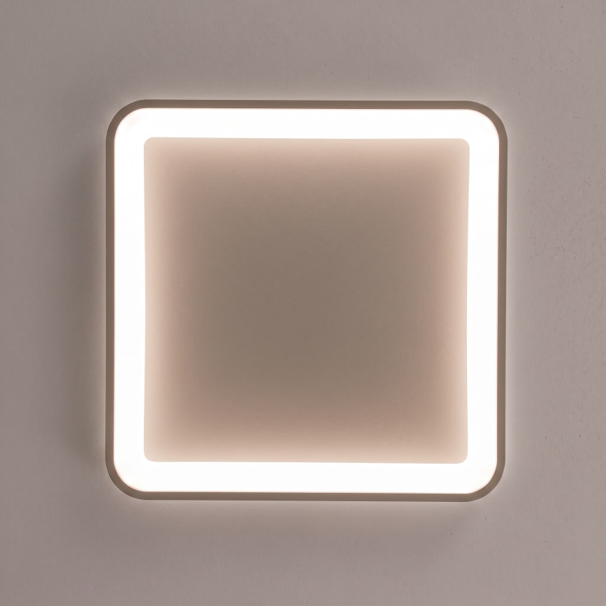 BRILAGI - LED Dimbare plafondlamp FALCON SLIM LED/50W/230V 3000-6500K 50x50 cm beige + afstandsbediening