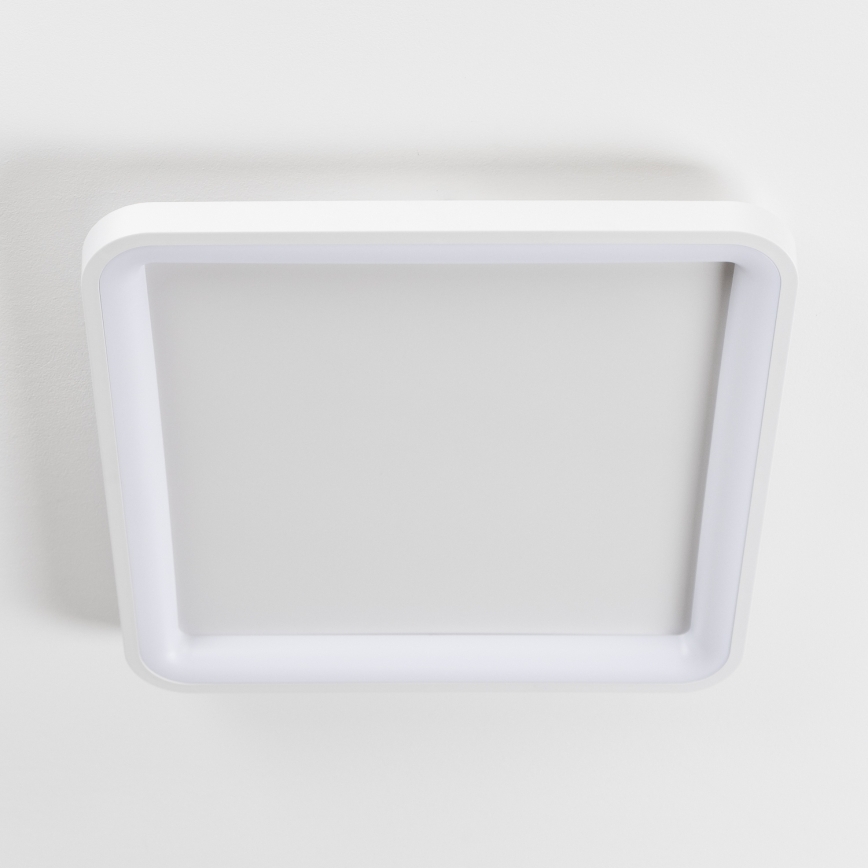 Brilagi - dimbare LED-plafondlamp FALCON SLIM LED/50W/230V 3000-6500K 50x50 cm wit + afstandsbediening