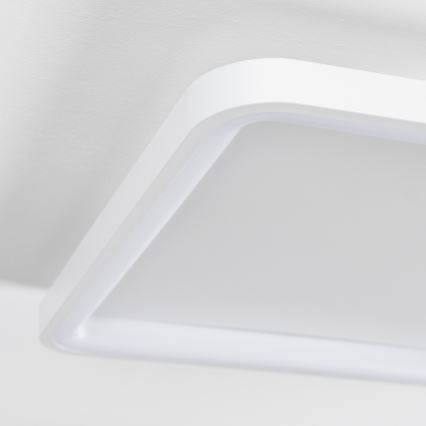 Brilagi - dimbare LED-plafondlamp FALCON SLIM LED/50W/230V 3000-6500K 50x50 cm wit + afstandsbediening