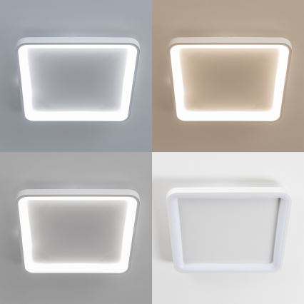 Brilagi - dimbare LED-plafondlamp FALCON SLIM LED/50W/230V 3000-6500K 50x50 cm wit + afstandsbediening