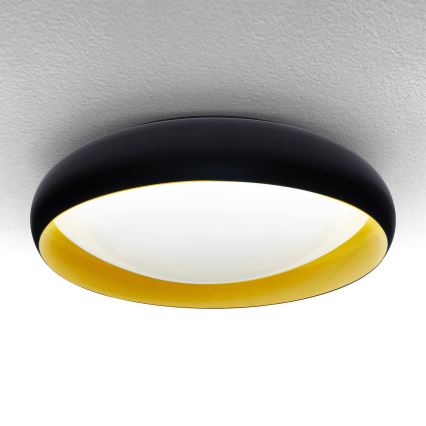 Brilagi - LED dimbare plafondlamp LIVIA LED/48W/230V 3000-6500K Ø 42 cm + afstandsbediening