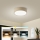 Brilagi - LED dimbare plafondlamp POOL LED/18W/230V 3000-6000K 20 cm beige + afstandsbediening