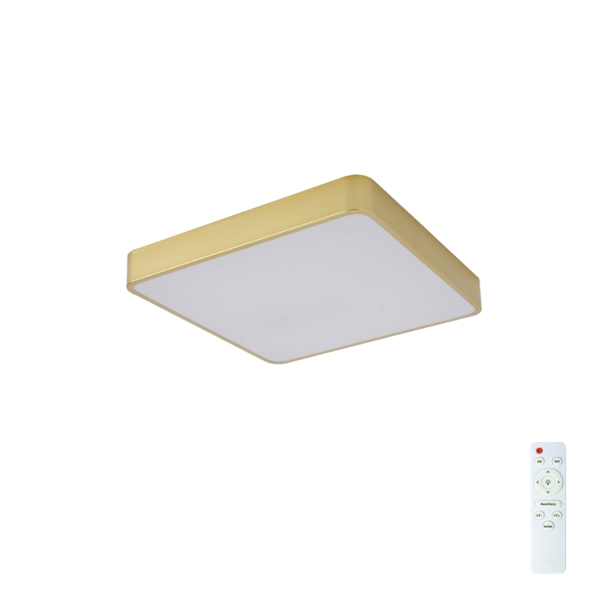 Brilagi - LED-dimbare plafondlamp POOL LED/36W/230V 3000-6000K 40x40 cm goud + afstandsbediening