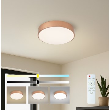 BRILAGI - LED dimbare plafondlamp POOL LED/36W/230V 3000-6000K Ø 30 cm koperkleurig + met afstandsbediening