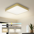 Brilagi - LED-dimbare plafondlamp POOL SQUARE LED/36W/230V 3000-6000K 40x40 cm goud + afstandsbediening