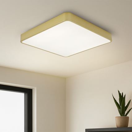 BRILAGI - LED-dimbare plafondlamp POOL SQUARE LED/48W/230V 3000-6000K 50x50 cm gouden + afstandsbediening