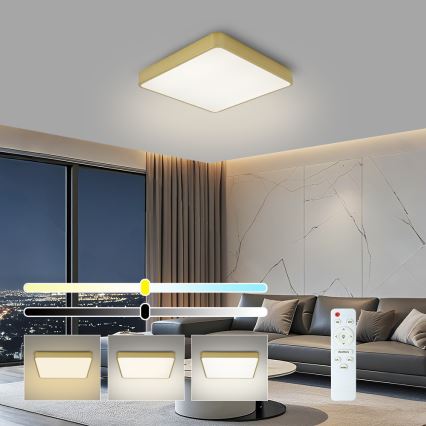 BRILAGI - LED-dimbare plafondlamp POOL SQUARE LED/48W/230V 3000-6000K 50x50 cm gouden + afstandsbediening