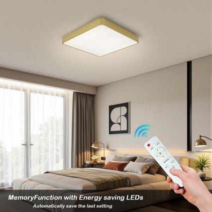 BRILAGI - LED-dimbare plafondlamp POOL SQUARE LED/48W/230V 3000-6000K 50x50 cm gouden + afstandsbediening