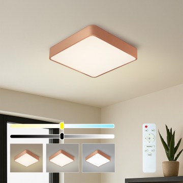 BRILAGI - LED-dimbare plafondlamp POOL SQUARE LED/48W/230V 3000-6000K 50x50 cm koperkleurig + afstandsbediening