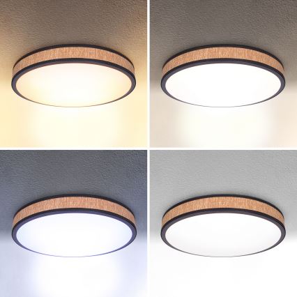 Brilagi - LED dimbare plafondlamp ROSA LED/48W/230V 3000-6500K Ø 38 cm + afstandsbediening