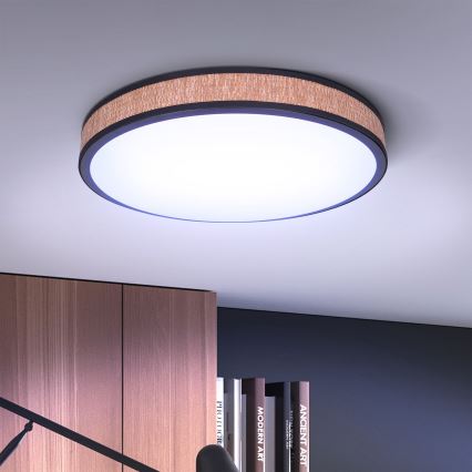 Brilagi - LED dimbare plafondlamp ROSA LED/48W/230V 3000-6500K Ø 38 cm + afstandsbediening