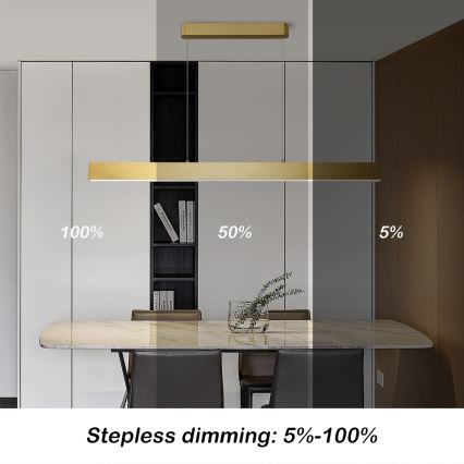 Brilagi - LED dimbare hanglamp aan kabel SLEEKLINE SMART LED/40W/230V 3000-6000K Wi-Fi Tuya goud + afstandsbediening
