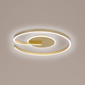 Brilagi - LED-dimbare plafondlamp SPIRAL LED/56W/230V diam. 50 cm 3000/4000/6000K + afstandsbediening